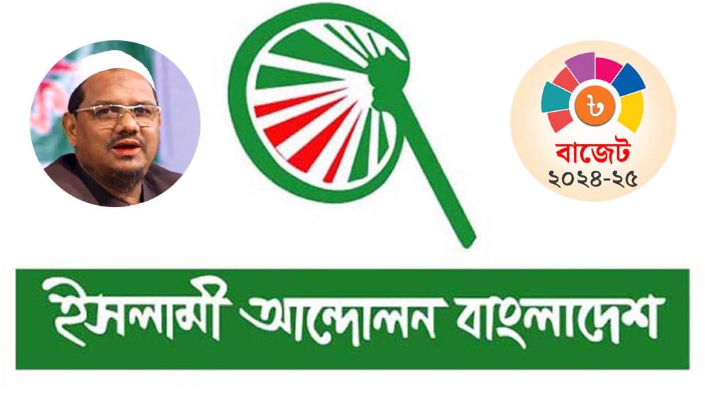 এই বাজেট লুটপাটের বরাদ্দপত্র : চরমোনাই পীর