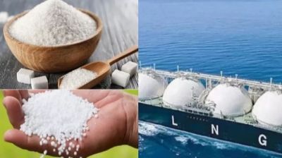 এলএনজি-সার, সয়াবিন তেল, চিনি ও ছোলা আমদানির অনুমোদন