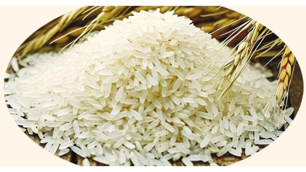 দাম নিয়ন্ত্রণে চাল আমদানিতে শুল্ক কমানোর চিন্তা করছে সরকার