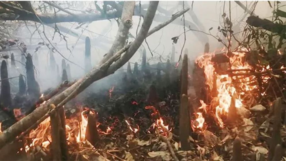 সুন্দরবনে আগুন