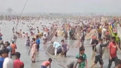 হাওরে ১০ জলমহালের মাছ লুট, নির্বিকার প্রশাসন