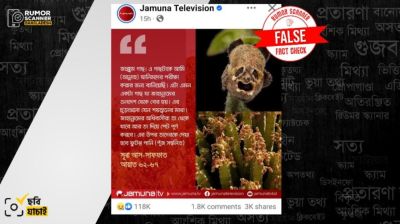 মাথার খুলির মত দেখতে এই ছবিটি যাক্কুম গাছের নয়