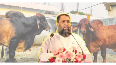 সাদিক অ্যাগ্রোর চেয়ারম্যান ইমরান গ্রেপ্তার