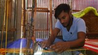 চাঁদপুরে জামদানির বিস্তার চান রনি