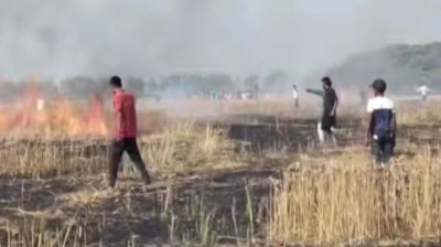 আগুনে পুড়ল ১৭ কৃষকের পাকা গমের খেত