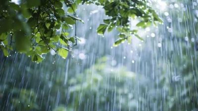 তিন বিভাগে বজ্রসহ বৃষ্টির পূর্বাভাস