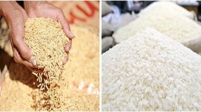 ১৪৪০ টাকা মণ ধান কিনবে সরকার