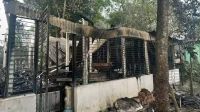 মানিকগঞ্জে শিল্পীর বাড়িতে আগুনের ঘটনায় গুরুত্ব দিয়ে তদন্ত করছে প্রশাসন