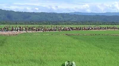 নতুন করে আসা ১ লাখ ১৮ হাজার রোহিঙ্গার নিবন্ধন সম্পন্ন