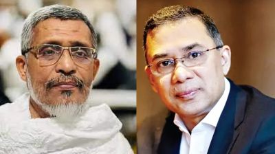 তারেক-বাবরের খালাসের বিরুদ্ধে আপিল শুনানি মঙ্গলবার