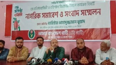 করিডোর দেওয়ার আগে সার্বভৌমত্বের কথা ভাবতে হবে: ব্যারিস্টার ফুয়াদ