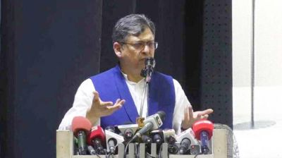 সংসদীয় কমিটির সভাপতির পদ পাবে বিরোধী দল: সালাহ উদ্দিন আহমেদ