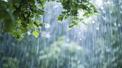 আগামী পাঁচদিন সারা দেশে বৃষ্টির পূর্বাভাস