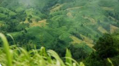রুমায় সেনা অভিযানে কুকি চিন ন্যাশনাল আর্মির কমান্ডারসহ ২ জন নিহত
