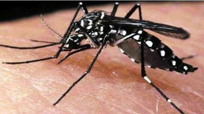 ডেঙ্গুতে আরও ২ জনের মৃত্যু