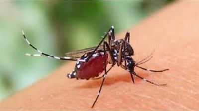 ডেঙ্গুতে দুজনের মৃত্যু