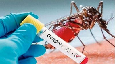 ডেঙ্গুতে আরও ৪ জনের মৃত্যু