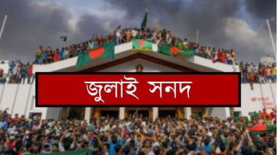 জুলাই সনদ স্বাক্ষর অনুষ্ঠান শুক্রবারই, বাদ পড়লে পরেও স্বাক্ষর করা যাবে: আলী রীয়াজ
