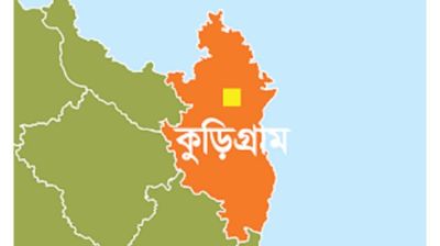বসতঘর থেকে ৫০ কেজি গাঁজা উদ্ধার, মাদক ব্যবসায়ীর ৫ বছরের সশ্রম কারাদণ্ড