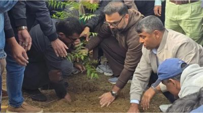 ৩০০ ফিটে গাছ লাগাল বিএনপি