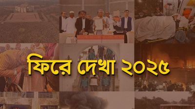 কেমন গেল ২০২৫