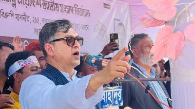 একটি শক্তি বিদেশিদের গোলামি করে রাজনীতি করছে: সালাহউদ্দিন আহমদ