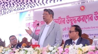 গণভোট ভবিষ্যৎ রাষ্ট্রব্যবস্থা নির্ধারণ করবে: আলী রীয়াজ