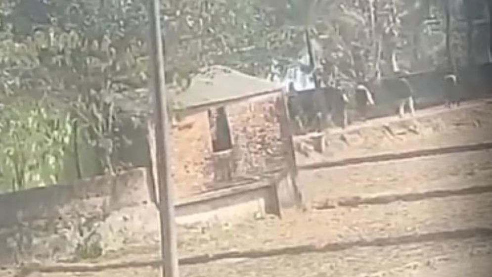 রাউজানে ভোটের আগের দিন প্রবাসী বিএনপি কর্মীর বাড়িতে গুলিবর্ষণ