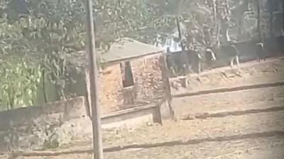 রাউজানে ভোটের আগের দিন প্রবাসী বিএনপি কর্মীর বাড়িতে গুলিবর্ষণ