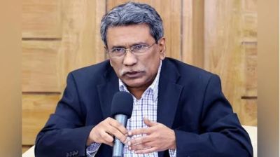 গণভোটে সংস্কারের পক্ষে সুস্পষ্ট রায় এসেছে: আলী রীয়াজ