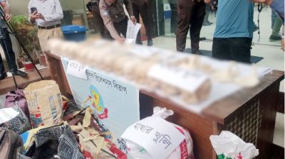 কবর থেকে কঙ্কাল চুরি করে বিক্রি: দুই ডেন্টাল শিক্ষার্থীসহ গ্রেপ্তার ৬