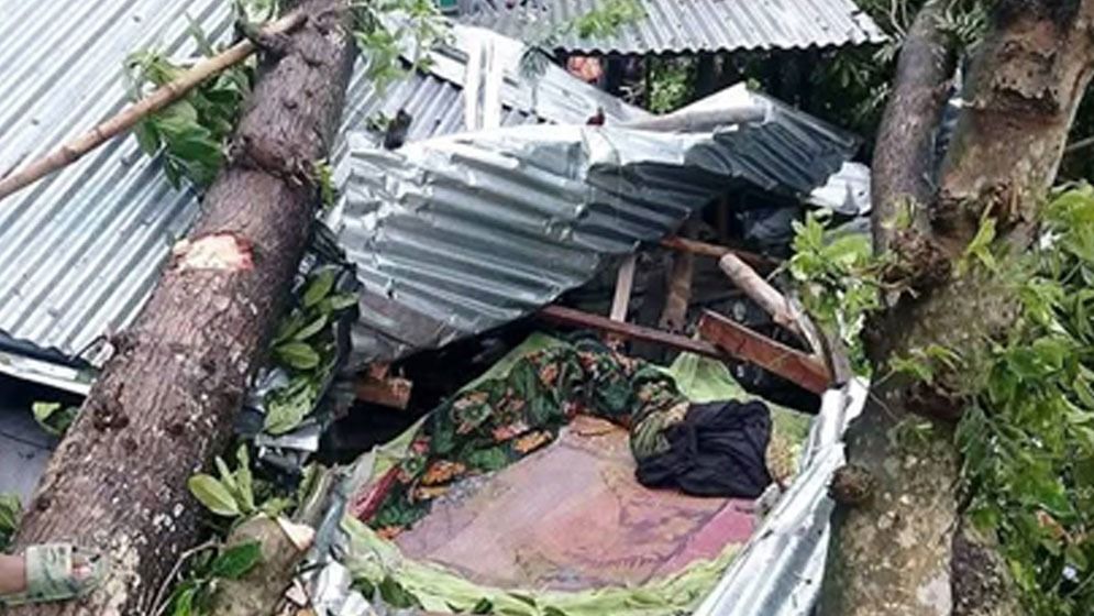 জামালপুরে ঝড়ে গাছ উপড়ে মা-মেয়েসহ নিহত ৩
