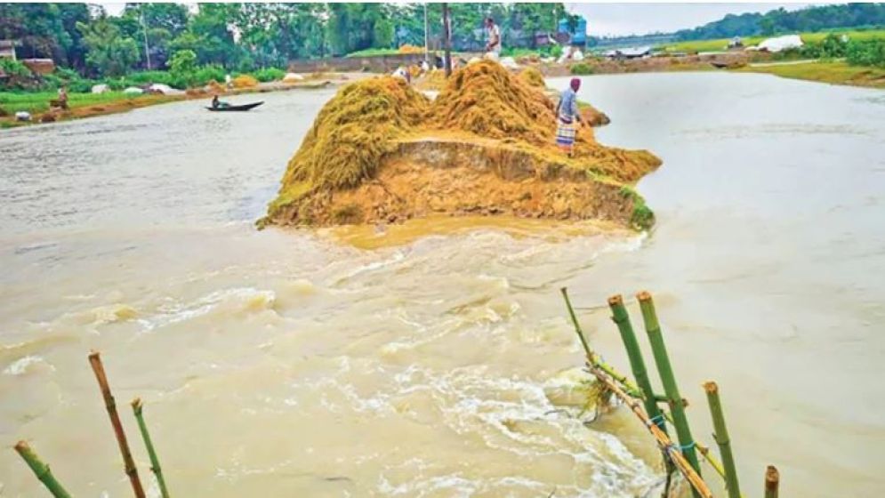 সুনামগঞ্জে বাঁধ ভেঙে ডুবছে ফসল, কাঁদছে কৃষক